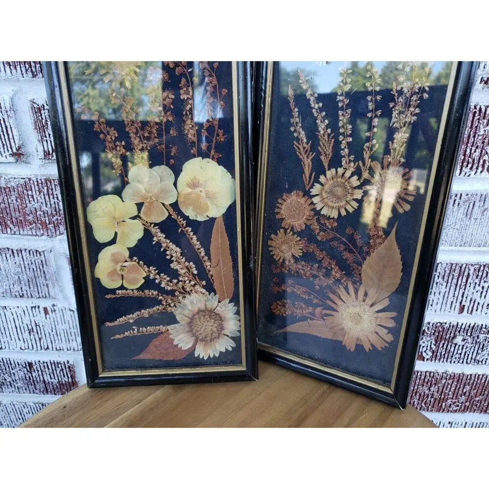 2 ANTIQUE ROCCOCO FRAMED DRIED FLOWER pressed poland victorian‎ oddity wall art